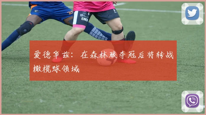 爱德华兹：在森林狼夺冠后将转战橄榄球领域