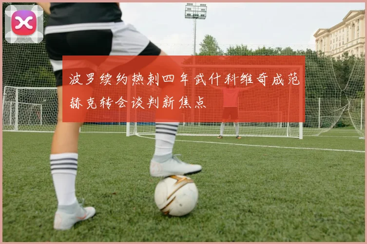 波罗续约热刺四年武什科维奇成范赫克转会谈判新焦点
